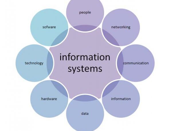 Fun Fact Jurusan Sistem Informasi!